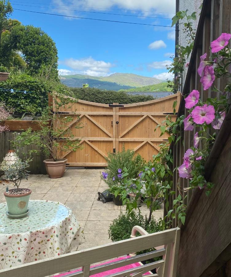 Snowdonia Snug - Studio Style Accommodation Dolgellau Eksteriør billede