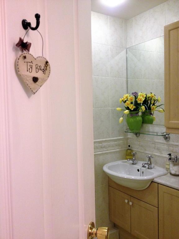 Snowdonia Snug - Studio Style Accommodation Dolgellau Eksteriør billede