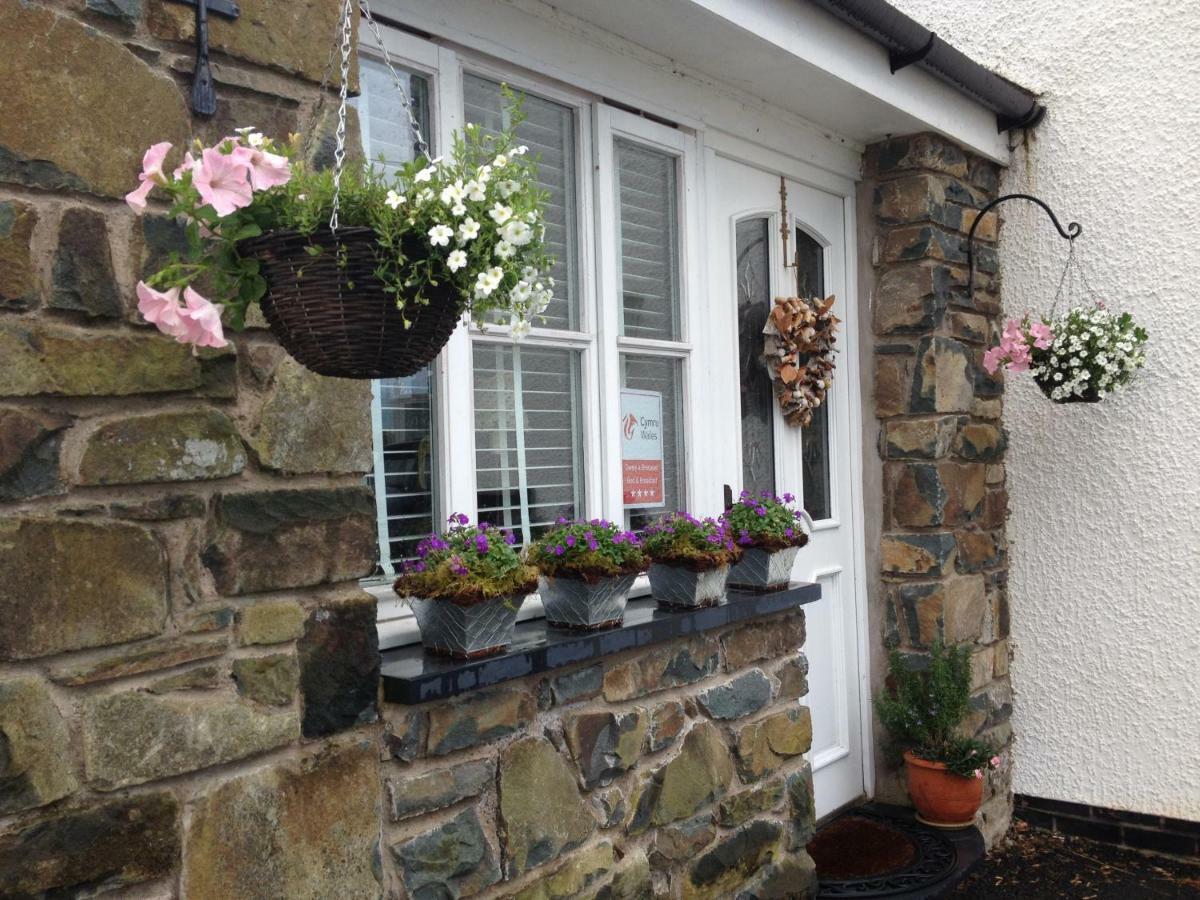 Snowdonia Snug - Studio Style Accommodation Dolgellau Eksteriør billede